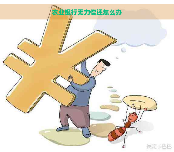 农业银行无力偿还怎么办