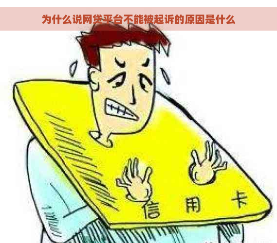 为什么说网贷平台不能被起诉的原因是什么