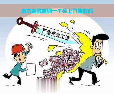 京东金融逾期一千会上门吗