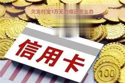 欠支付宝1万无力偿还怎么办