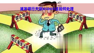 浦发银行欠款45000该如何处理