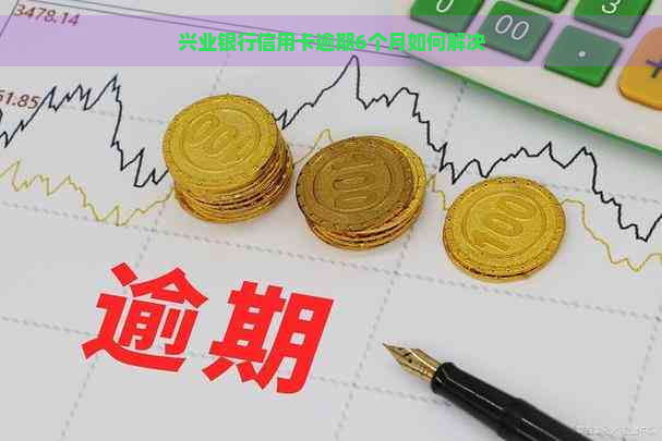 兴业银行信用卡逾期6个月如何解决