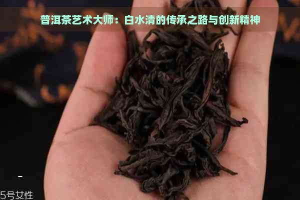 普洱茶艺术大师：白水清的传承之路与创新精神