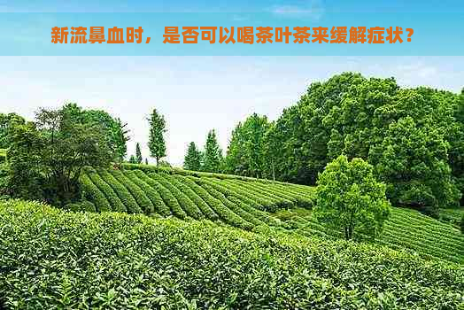 新流鼻血时，是否可以喝茶叶茶来缓解症状？