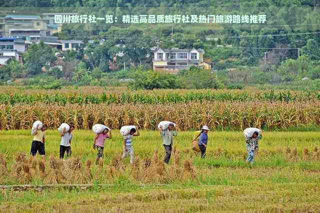 四川旅行社一览：精选高品质旅行社及热门旅游路线推荐