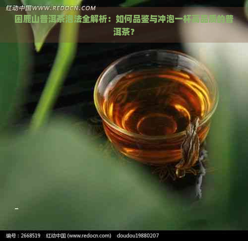 困鹿山普洱茶泡法全解析：如何品鉴与冲泡一杯高品质的普洱茶？