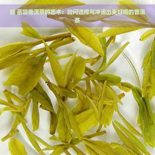 新 品尝普洱茶的艺术：如何选择与冲泡出更好喝的普洱茶