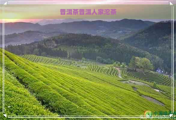 普洱茶普洱人家沱茶