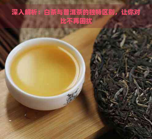 深入解析：白茶与普洱茶的独特区别，让你对比不再困扰