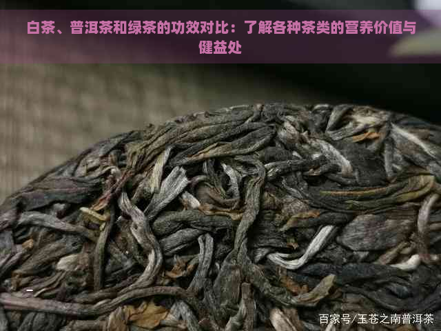 白茶、普洱茶和绿茶的功效对比：了解各种茶类的营养价值与健益处