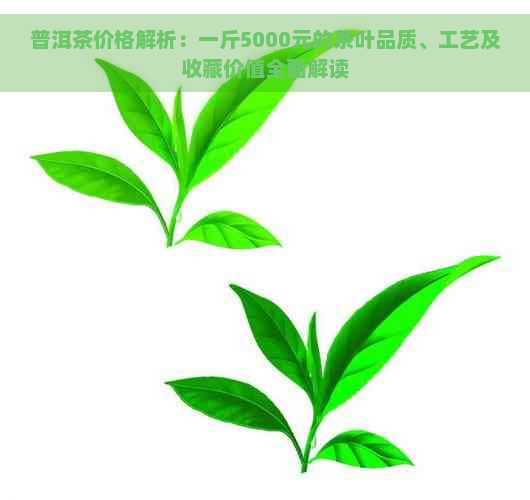 普洱茶价格解析：一斤5000元的茶叶品质、工艺及收藏价值全面解读