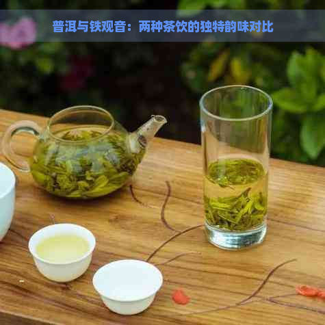 普洱与铁观音：两种茶饮的独特韵味对比