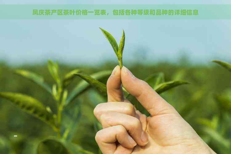 凤庆茶产区茶叶价格一览表，包括各种等级和品种的详细信息