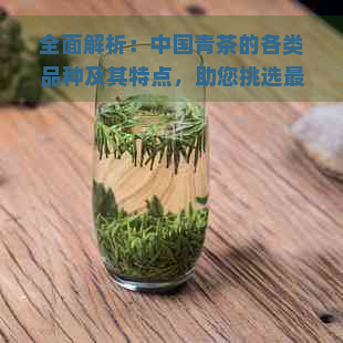 全面解析：中国青茶的各类品种及其特点，助您挑选最适合的茶叶