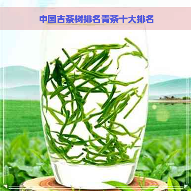 中国古茶树排名青茶十大排名