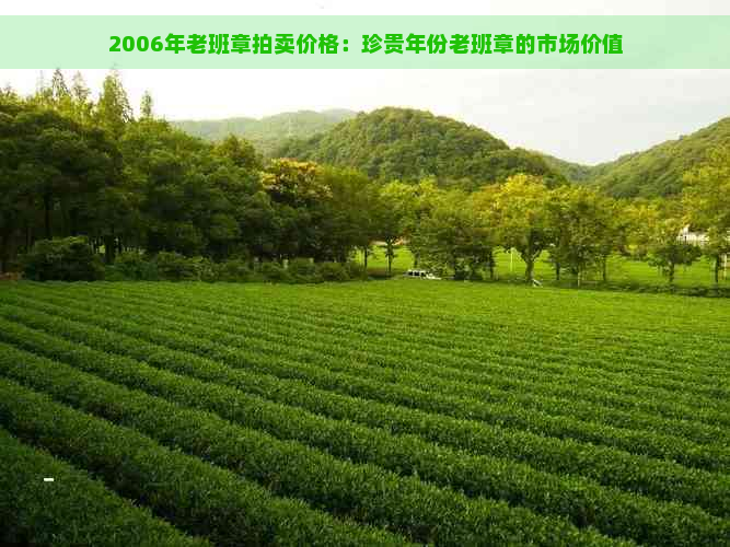 2006年老班章拍卖价格：珍贵年份老班章的市场价值