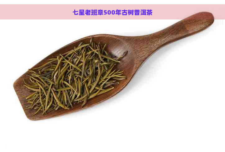 七星老班章500年古树普洱茶