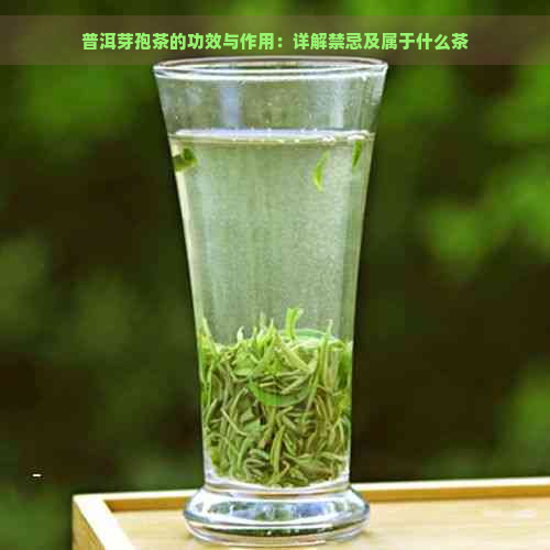 普洱芽孢茶的功效与作用：详解禁忌及属于什么茶