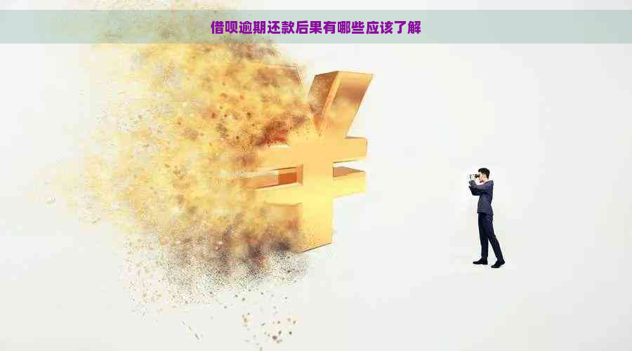 借呗逾期还款后果有哪些应该了解