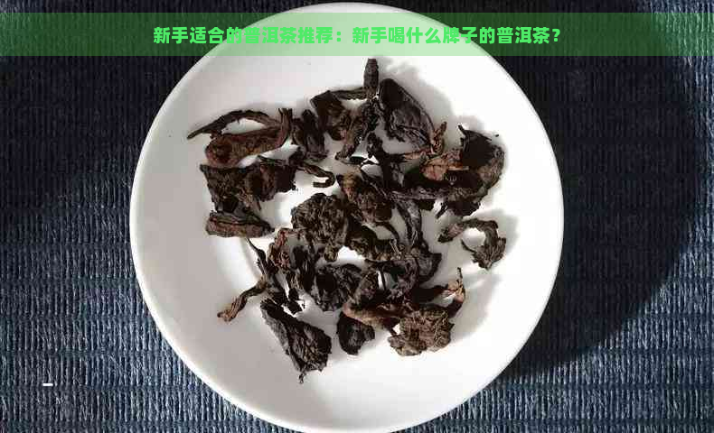 新手适合的普洱茶推荐：新手喝什么牌子的普洱茶？