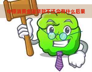 中原消费金融贷款不还会有什么后果