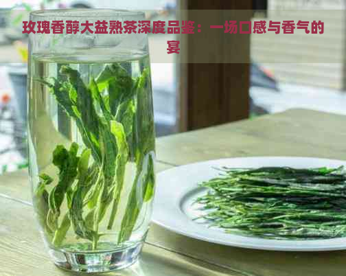 玫瑰香醇大益熟茶深度品鉴：一场口感与香气的宴