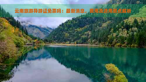 云南旅游导游证免票吗：最新消息，费用及适用景点解析