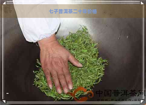 七子普洱茶二十年价格