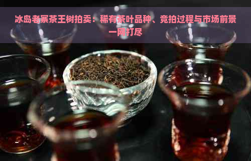 冰岛老寨茶王树拍卖：稀有茶叶品种、竞拍过程与市场前景一网打尽