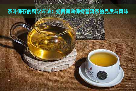 茶叶保存的科学方法：如何有效保持普洱茶的品质与风味