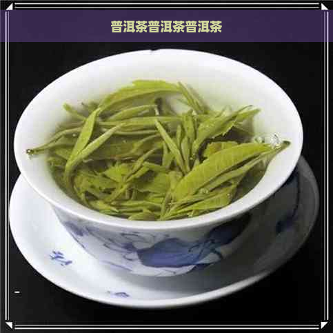 普洱茶普洱茶普洱茶