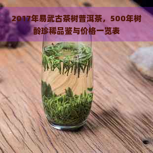 2017年易武古茶树普洱茶，500年树龄珍稀品鉴与价格一览表