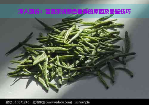 深入剖析：普洱茶饼颜色差异的原因及品鉴技巧