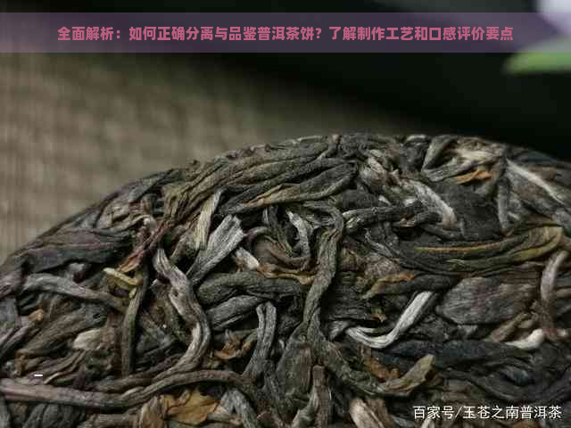 全面解析：如何正确分离与品鉴普洱茶饼？了解制作工艺和口感评价要点