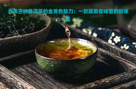 云南古树普洱茶的金黄色魅力：一款颠覆你味蕾的新体验