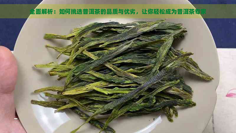 全面解析：如何挑选普洱茶的品质与优劣，让你轻松成为普洱茶专家