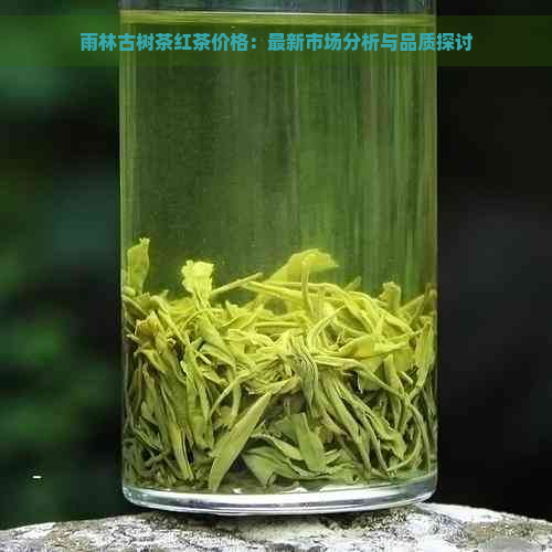 雨林古树茶红茶价格：最新市场分析与品质探讨