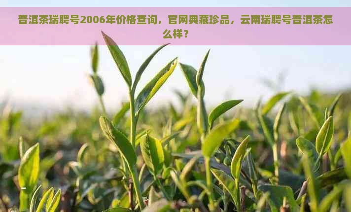 普洱茶瑞聘号2006年价格查询，官网典藏珍品，云南瑞聘号普洱茶怎么样？