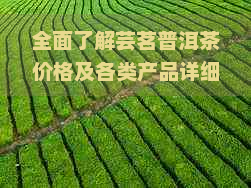 全面了解芸茗普洱茶价格及各类产品详细信息，轻松选购优质茶叶