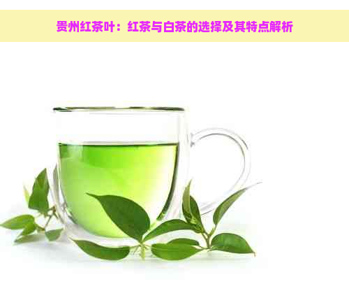 贵州红茶叶：红茶与白茶的选择及其特点解析