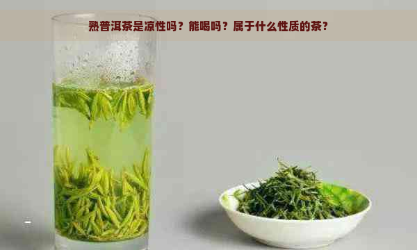 熟普洱茶是凉性吗？能喝吗？属于什么性质的茶？