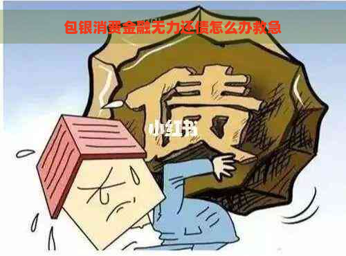 包银消费金融无力还债怎么办救急