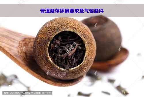 普洱茶存环境要求及气候条件