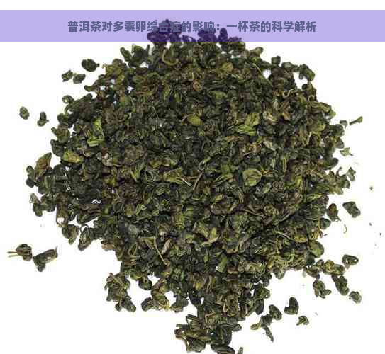 普洱茶对多囊卵综合症的影响：一杯茶的科学解析