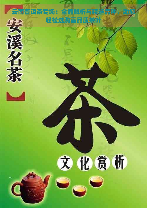 云南普洱茶专场：全面解析与精选品种，助您轻松选购高品质茶叶