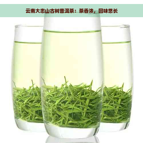 云南大忠山古树普洱茶：茶香浓，回味悠长