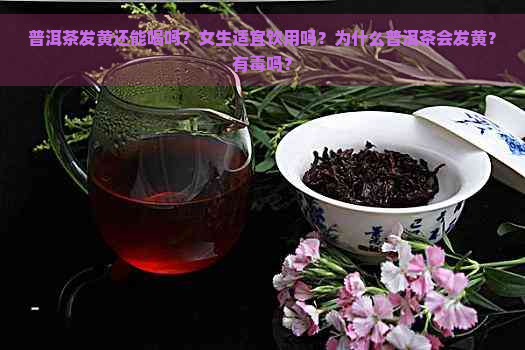 普洱茶发黄还能喝吗？女生适宜饮用吗？为什么普洱茶会发黄？有吗？