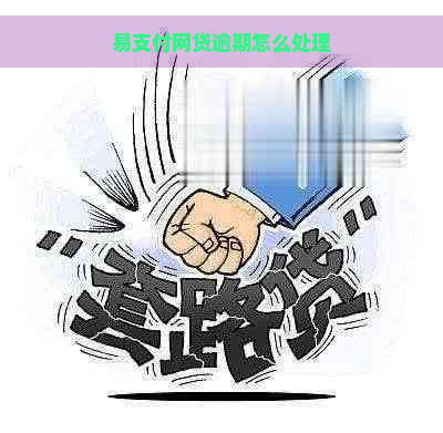 易支付网贷逾期怎么处理