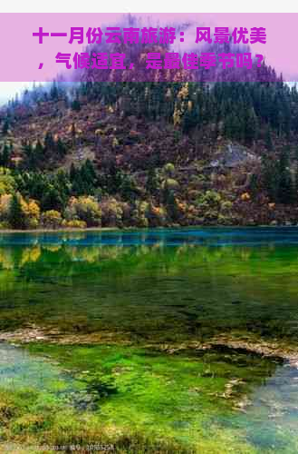 十一月份云南旅游：风景优美，气候适宜，是更佳季节吗？