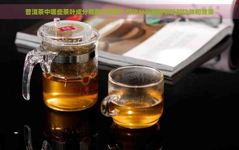 普洱茶中哪些茶叶成分有助于减肥？对比分析各种茶叶的功效和效果